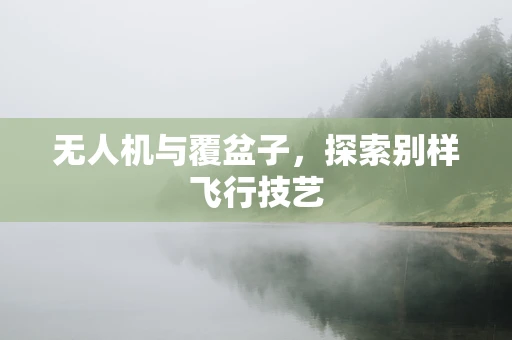 无人机与覆盆子，探索别样飞行技艺