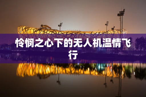 怜悯之心下的无人机温情飞行