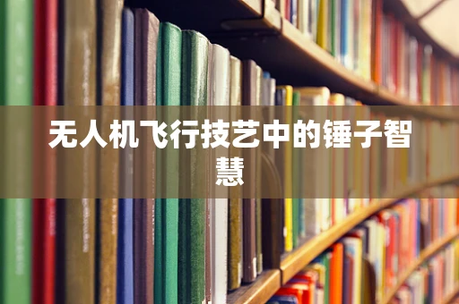 无人机飞行技艺中的锤子智慧