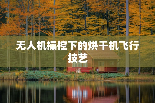 无人机操控下的烘干机飞行技艺