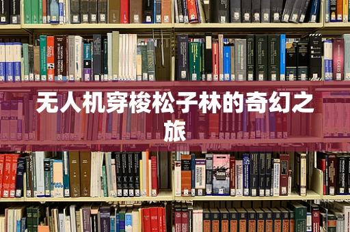 无人机穿梭松子林的奇幻之旅