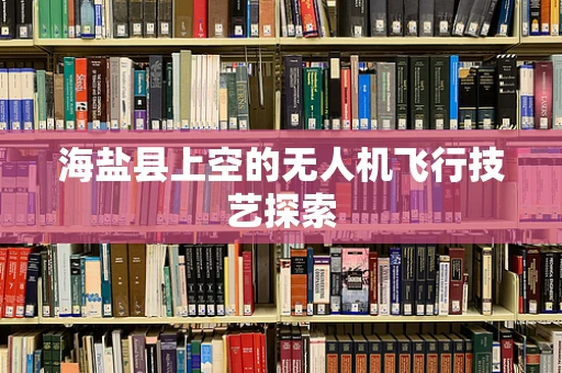 海盐县上空的无人机飞行技艺探索