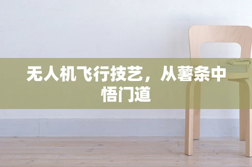 无人机飞行技艺，从薯条中悟门道