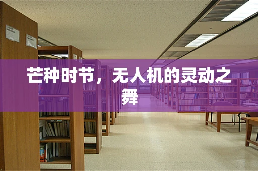 芒种时节，无人机的灵动之舞