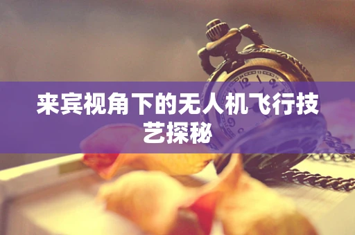 来宾视角下的无人机飞行技艺探秘