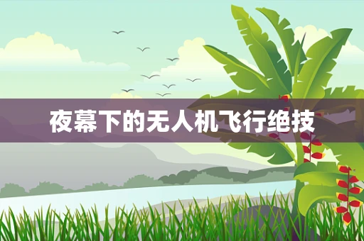 夜幕下的无人机飞行绝技