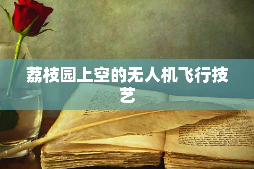 荔枝园上空的无人机飞行技艺