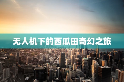无人机下的西瓜田奇幻之旅
