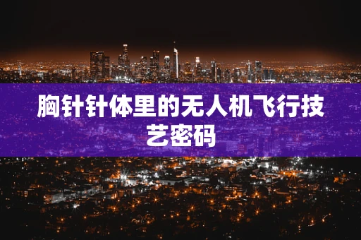 胸针针体里的无人机飞行技艺密码
