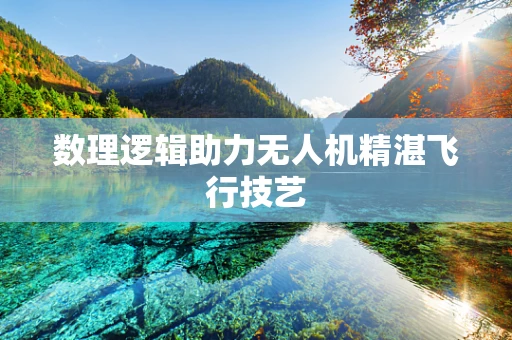 数理逻辑助力无人机精湛飞行技艺