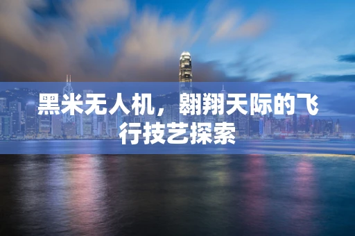 黑米无人机，翱翔天际的飞行技艺探索