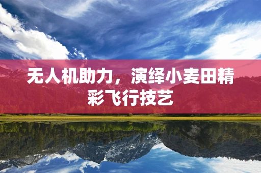 无人机助力，演绎小麦田精彩飞行技艺