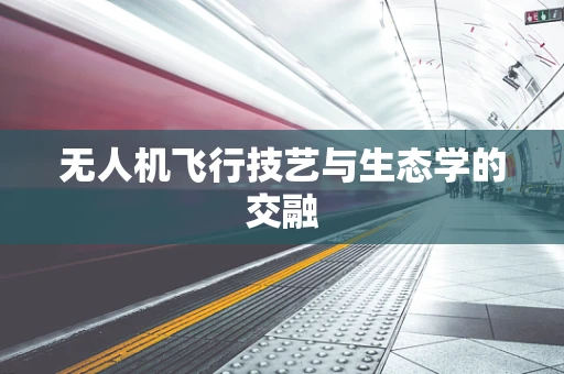 无人机飞行技艺与生态学的交融