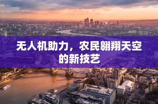 无人机助力，农民翱翔天空的新技艺