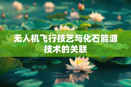 无人机飞行技艺与化石能源技术的关联