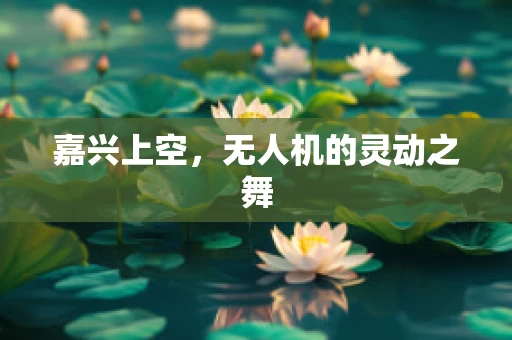 嘉兴上空，无人机的灵动之舞