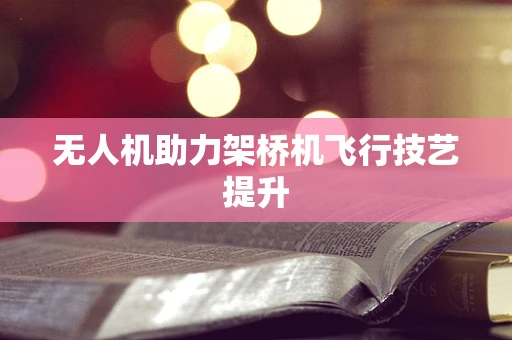 无人机助力架桥机飞行技艺提升