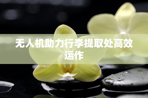 无人机助力行李提取处高效运作
