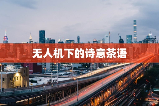 无人机下的诗意茶语