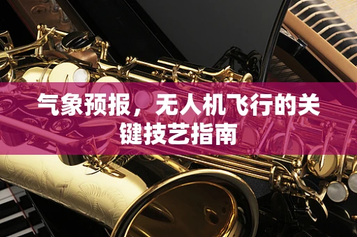 气象预报，无人机飞行的关键技艺指南