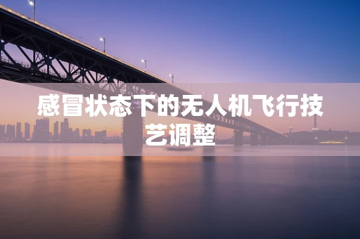 感冒状态下的无人机飞行技艺调整