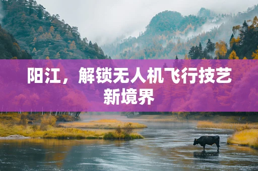 阳江，解锁无人机飞行技艺新境界