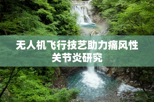 无人机飞行技艺助力痛风性关节炎研究