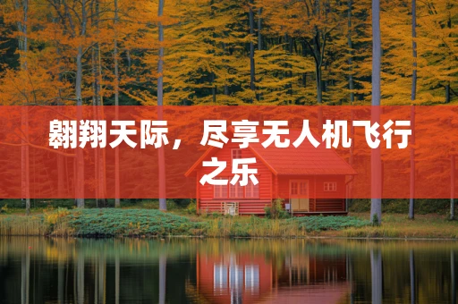 翱翔天际，尽享无人机飞行之乐