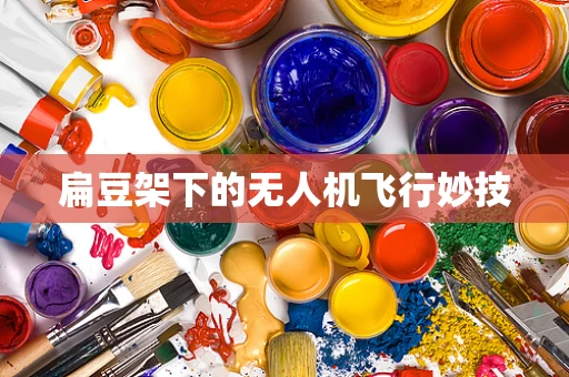 扁豆架下的无人机飞行妙技