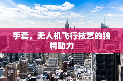 手套，无人机飞行技艺的独特助力