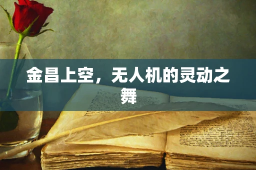 金昌上空，无人机的灵动之舞