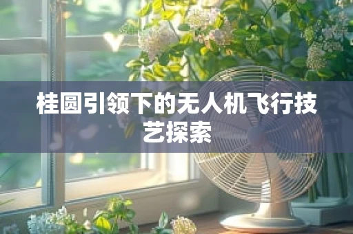 桂圆引领下的无人机飞行技艺探索
