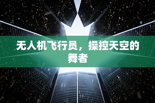 无人机飞行员，操控天空的舞者