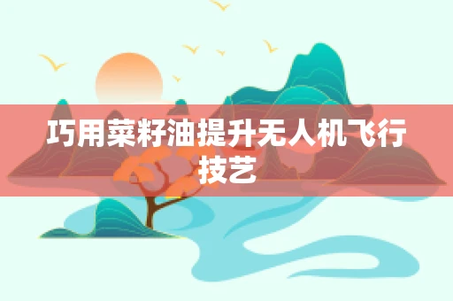 巧用菜籽油提升无人机飞行技艺