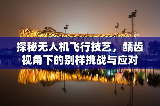 探秘无人机飞行技艺，龋齿视角下的别样挑战与应对