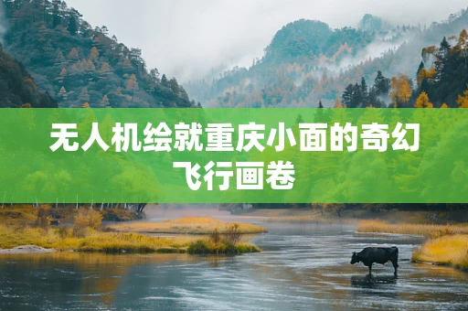 无人机绘就重庆小面的奇幻飞行画卷
