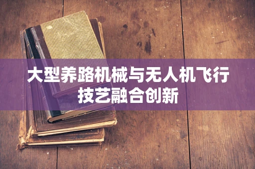 大型养路机械与无人机飞行技艺融合创新