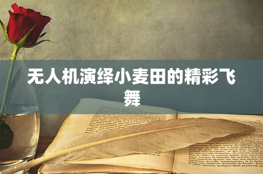无人机演绎小麦田的精彩飞舞