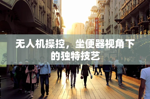 无人机操控，坐便器视角下的独特技艺
