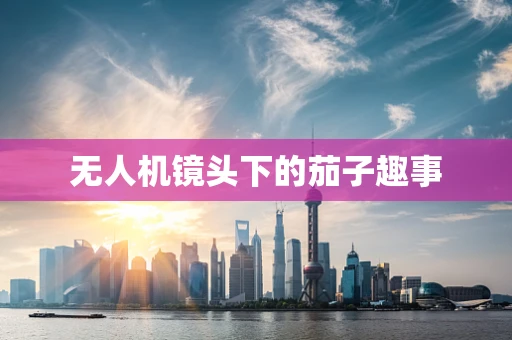 无人机镜头下的茄子趣事