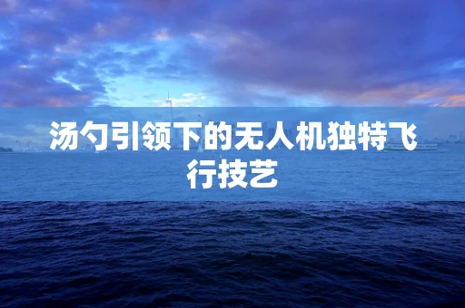 汤勺引领下的无人机独特飞行技艺