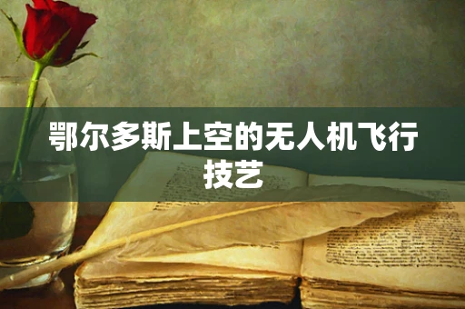 鄂尔多斯上空的无人机飞行技艺