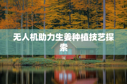 无人机助力生姜种植技艺探索