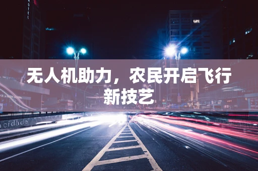 无人机助力，农民开启飞行新技艺
