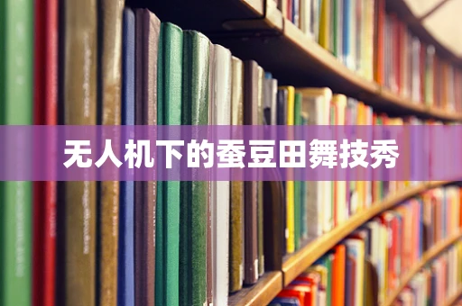 无人机下的蚕豆田舞技秀