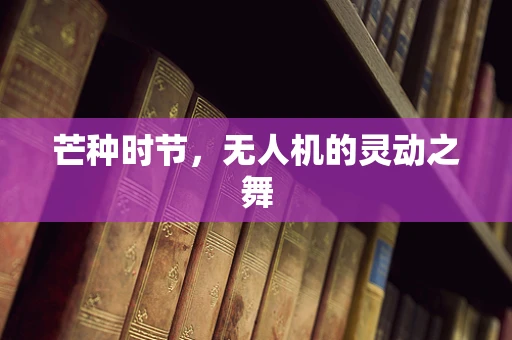 芒种时节，无人机的灵动之舞