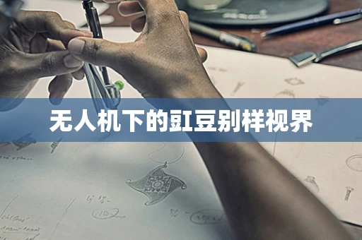 无人机下的豇豆别样视界