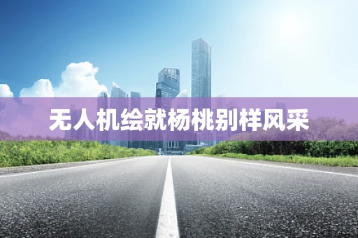 无人机绘就杨桃别样风采