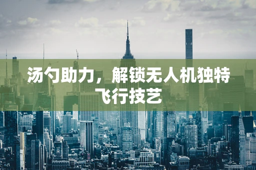 汤勺助力，解锁无人机独特飞行技艺