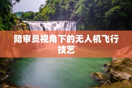陪审员视角下的无人机飞行技艺